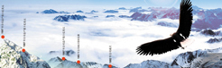 耐水解金屬催化劑在高濕環(huán)境聚氨酯中的應(yīng)用