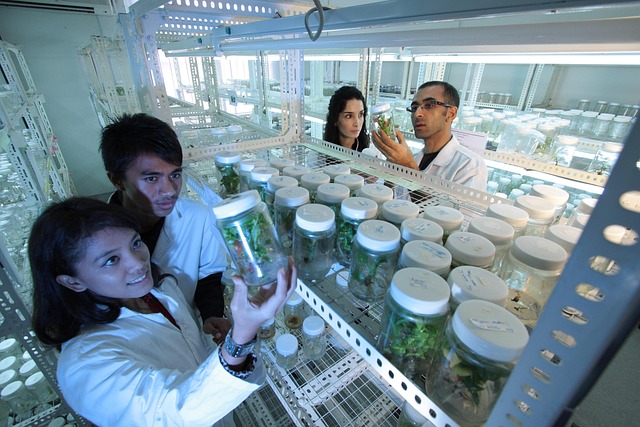 叔胺聚氨酯催化劑BL-17在制備高回彈、高彈性聚氨酯軟泡中的應(yīng)用與性能研究